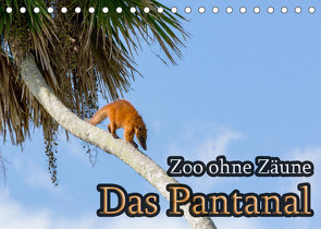 Zoo ohne Zäune – Das Pantanal (Tischkalender 2022 DIN A5 quer) von Sobottka,  Joerg