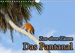 Zoo ohne Zäune – Das Pantanal (Wandkalender 2022 DIN A4 quer) von Sobottka,  Joerg