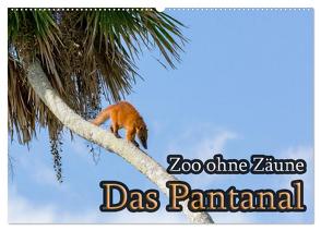 Zoo ohne Zäune – Das Pantanal (Wandkalender 2024 DIN A2 quer), CALVENDO Monatskalender von Sobottka,  Joerg
