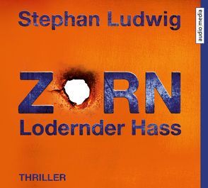 Zorn 7 – Lodernder Hass von Ludwig,  Stephan, Nathan,  David