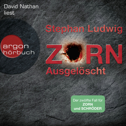 Zorn – Ausgelöscht von Ludwig,  Stephan, Nathan,  David