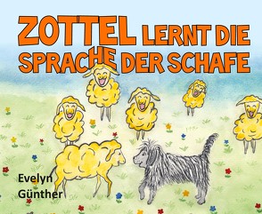 Zottel lernt die Sprache der Schafe von Günther,  Evelyn