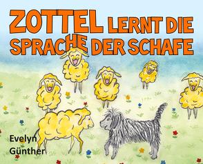 Zottel lernt die Sprache der Schafe von Günther,  Evelyn