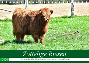 Zottelige Riesen – Schottische Hochlandrinder (Tischkalender 2020 DIN A5 quer) von Glineur,  Jean-Louis