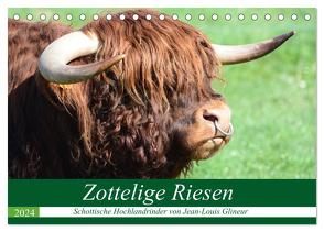 Zottelige Riesen – Schottische Hochlandrinder (Tischkalender 2024 DIN A5 quer), CALVENDO Monatskalender von Glineur,  Jean-Louis