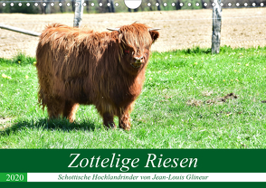 Zottelige Riesen – Schottische Hochlandrinder (Wandkalender 2020 DIN A4 quer) von Glineur,  Jean-Louis