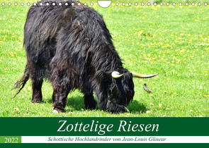 Zottelige Riesen – Schottische Hochlandrinder (Wandkalender 2022 DIN A4 quer) von Glineur,  Jean-Louis