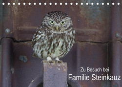 Zu Besuch bei Familie Steinkauz (Tischkalender 2022 DIN A5 quer) von Wenner,  Martin