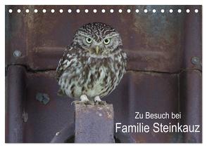Zu Besuch bei Familie Steinkauz (Tischkalender 2024 DIN A5 quer), CALVENDO Monatskalender von Wenner,  Martin