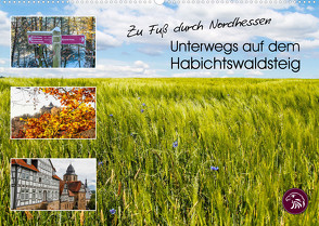 Zu Fuß durch Nordhessen – Unterwegs auf dem Habichtswaldsteig (Wandkalender 2023 DIN A2 quer) von Bering,  Thomas