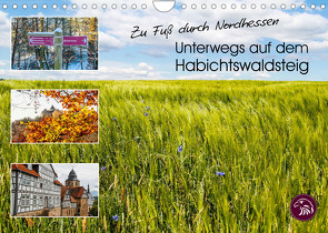 Zu Fuß durch Nordhessen – Unterwegs auf dem Habichtswaldsteig (Wandkalender 2023 DIN A4 quer) von Bering,  Thomas