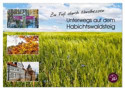 Zu Fuß durch Nordhessen – Unterwegs auf dem Habichtswaldsteig (Wandkalender 2024 DIN A2 quer), CALVENDO Monatskalender von Bering,  Thomas