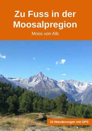 Zu Fuss in der Moosalpregion von Von Alb,  Moos
