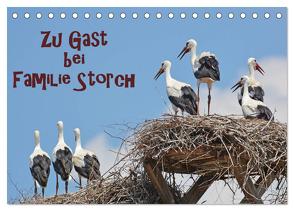 Zu Gast bei Familie Storch (Tischkalender 2024 DIN A5 quer), CALVENDO Monatskalender von GUGIGEI,  GUGIGEI