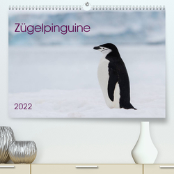 Zügelpinguine (Premium, hochwertiger DIN A2 Wandkalender 2022, Kunstdruck in Hochglanz) von Utelli,  Anna-Barbara
