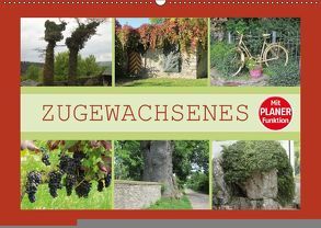 Zugewachsenes (Wandkalender 2018 DIN A2 quer) von Keller,  Angelika