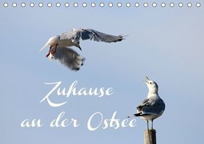 Zuhause an der Ostsee (Tischkalender 2019 DIN A5 quer) von Hultsch,  Heike