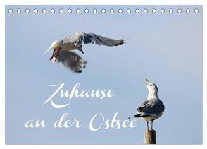 Zuhause an der Ostsee (Tischkalender 2024 DIN A5 quer), CALVENDO Monatskalender von Hultsch,  Heike