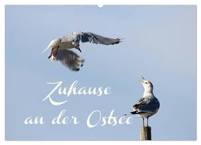 Zuhause an der Ostsee (Wandkalender 2024 DIN A2 quer), CALVENDO Monatskalender von Hultsch,  Heike