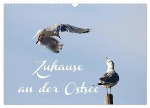 Zuhause an der Ostsee (Wandkalender 2024 DIN A3 quer), CALVENDO Monatskalender von Hultsch,  Heike