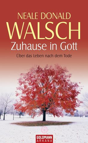 Zuhause in Gott von Kahn-Ackermann,  Susanne, Walsch,  Neale Donald