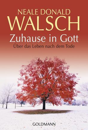 Zuhause in Gott von Kahn-Ackermann,  Susanne, Walsch,  Neale Donald