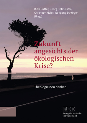 Zukunft angesichts der ökologischen Krise? von Gütter,  Ruth, Hofmeister,  Georg, Maier,  Christoph, Schürger,  Wolfgang