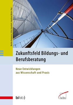 Zukunftsfeld Bildungs- und Berufsberatung von Hammerer,  Marika, Kanelutti,  Erika, Melter,  Ingeborg