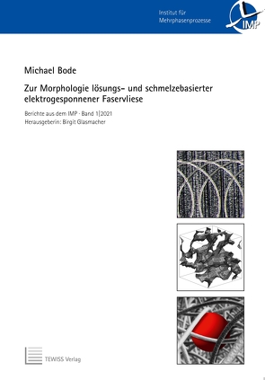 Zur Morphologie lösungs- und schmelzbasierter elektrogesponnener Faservliese von Bode,  Michael, Glasmacher,  Birgit