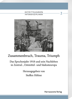 Zusammenbruch, Trauma, Triumph von Höhne,  Steffen