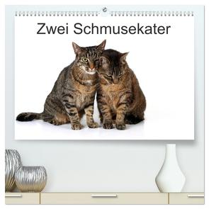 Zwei Schmusekater (hochwertiger Premium Wandkalender 2024 DIN A2 quer), Kunstdruck in Hochglanz von Eppele,  Klaus