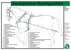 Zweispänner-Kumtgeschirr von Deutsche Reiterliche Vereinigung e.V. (FN), FN Bereich Sport,  Abt. Ausbildung, Gross,  Dieter, König ,  Horst, Meier,  Ewald, Spenlen,  Uwe