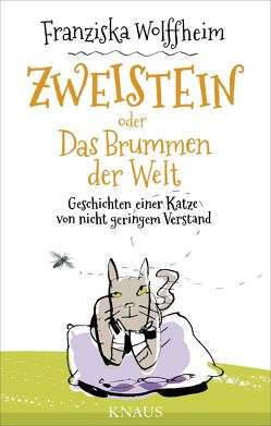 Zweistein oder Das Brummen der Welt von Clemen,  Stefanie, Wolffheim,  Franziska