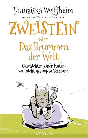 Zweistein oder Das Brummen der Welt von Clemen,  Stefanie, Wolffheim,  Franziska