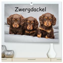 Zwergdackel von Kadi (hochwertiger Premium Wandkalender 2024 DIN A2 quer), Kunstdruck in Hochglanz von Seiboth,  Berit