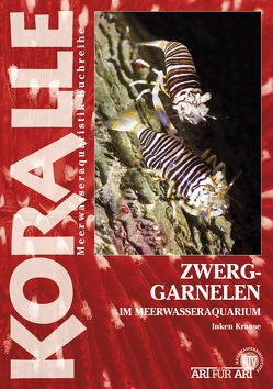 Zwerggarnelen im Meerwasseraquarium von Krause,  Inken