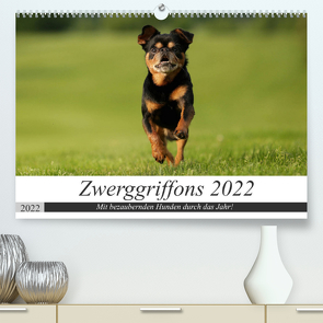 Zwerggriffons 2022 (Premium, hochwertiger DIN A2 Wandkalender 2022, Kunstdruck in Hochglanz) von Witt - Schomber,  Angelika