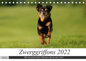 Zwerggriffons 2022 (Tischkalender 2022 DIN A5 quer) von Witt - Schomber,  Angelika