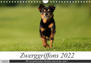 Zwerggriffons 2022 (Wandkalender 2022 DIN A4 quer) von Witt - Schomber,  Angelika