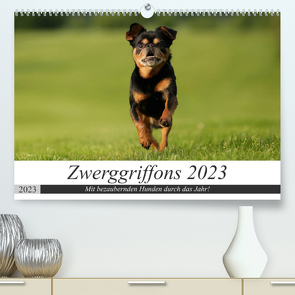 Zwerggriffons 2023 (Premium, hochwertiger DIN A2 Wandkalender 2023, Kunstdruck in Hochglanz) von Witt - Schomber,  Angelika