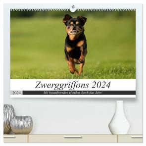 Zwerggriffons 2024 (hochwertiger Premium Wandkalender 2024 DIN A2 quer), Kunstdruck in Hochglanz von Witt - Schomber,  Angelika
