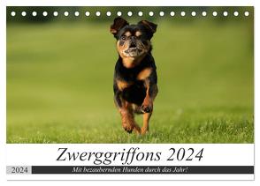 Zwerggriffons 2024 (Tischkalender 2024 DIN A5 quer), CALVENDO Monatskalender von Witt - Schomber,  Angelika