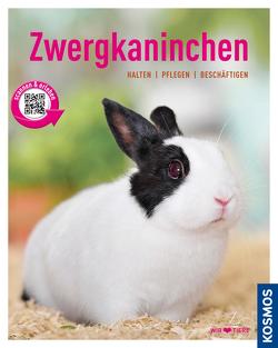 Zwergkaninchen von Beck,  Angela