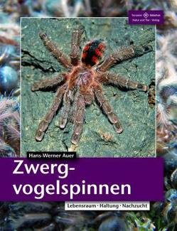 Zwergvogelspinnen von Auer,  Hans-Werner