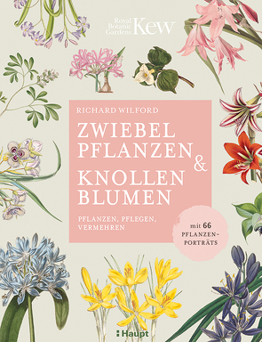 Zwiebelpflanzen & Knollenblumen von Taubert,  Anne, Wilford,  Richard