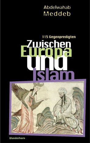 Zwischen Europa und Islam von Meddeb,  Abdelwahab, Schmidt,  Rainer G