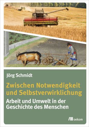 Zwischen Notwendigkeit und Selbstverwirklichung von Schmidt,  Jörg