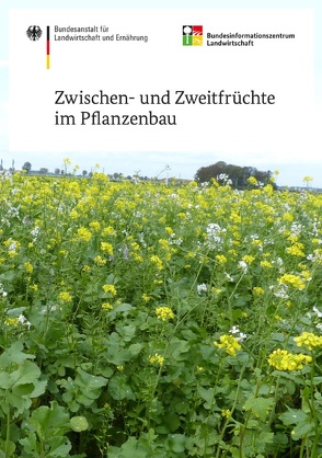 Zwischen- und Zweitfrüchte im Pflanzenbau von Bodner,  Gernot, Hötte,  Sebastian, Kivelitz,  Hubert, Laser,  Harald, Lütke Entrup,  Norbert, Stemann,  Günter