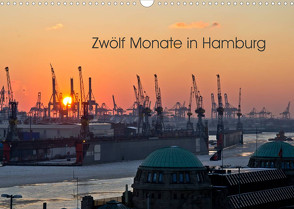 Zwölf Monate in Hamburg (Wandkalender 2023 DIN A3 quer) von Caladoart