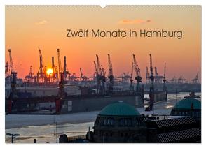 Zwölf Monate in Hamburg (Wandkalender 2024 DIN A2 quer), CALVENDO Monatskalender von Caladoart,  Caladoart